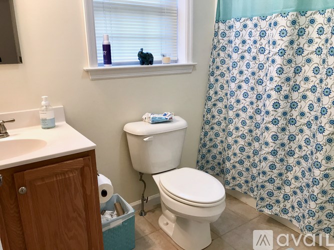 A bathroom with a toilet, sink, and shower curtain.