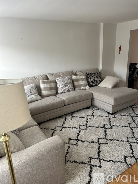 A living room with a grey sofa and a patterned rug.