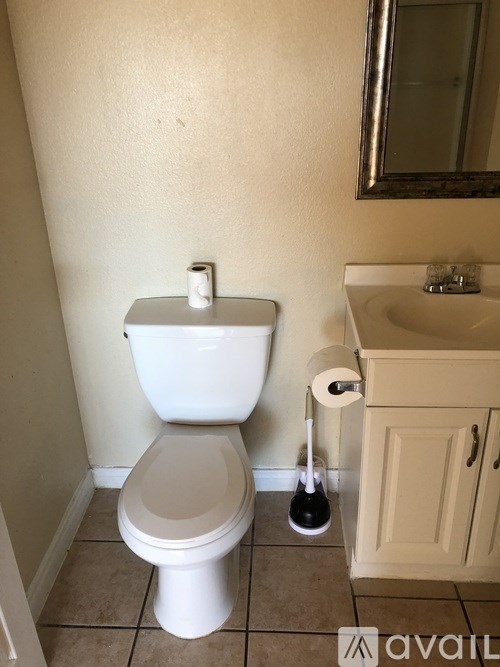 A white toilet with a roll of toilet paper on the side and a sink in the background.