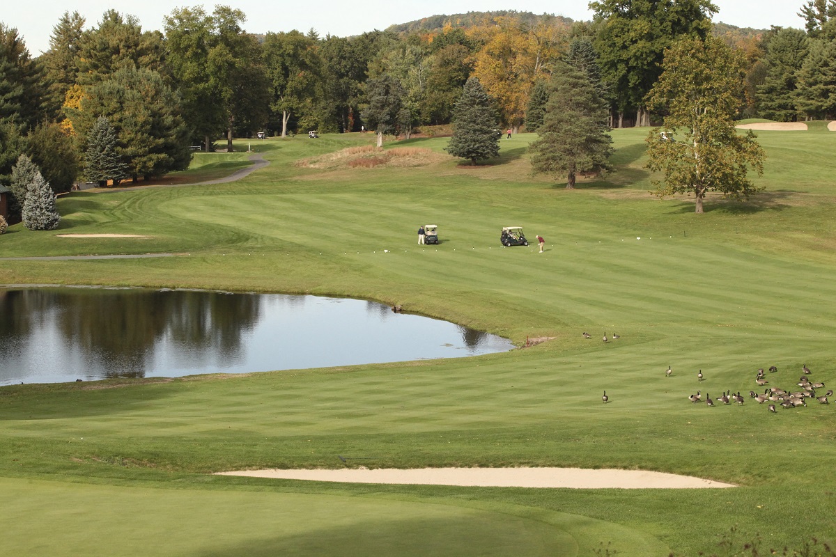a view of a golf course with a pond
