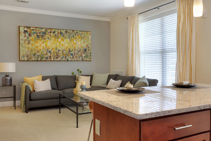 a living room with a kitchen and a couch and a table
