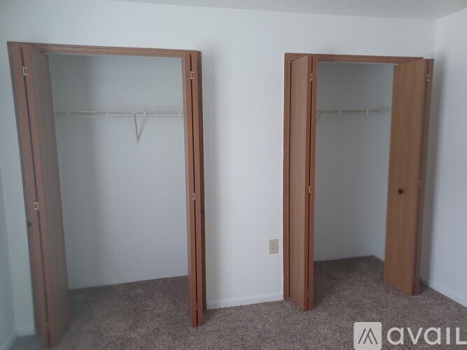 Two open closet doors with a carpet on the floor.