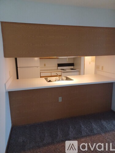 A kitchen with a sink and a countertop.
