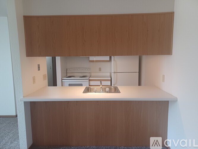A kitchen with a sink and cabinets.