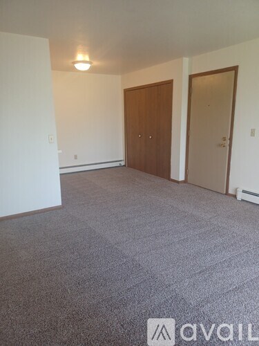 A room with a carpeted floor and two doors.