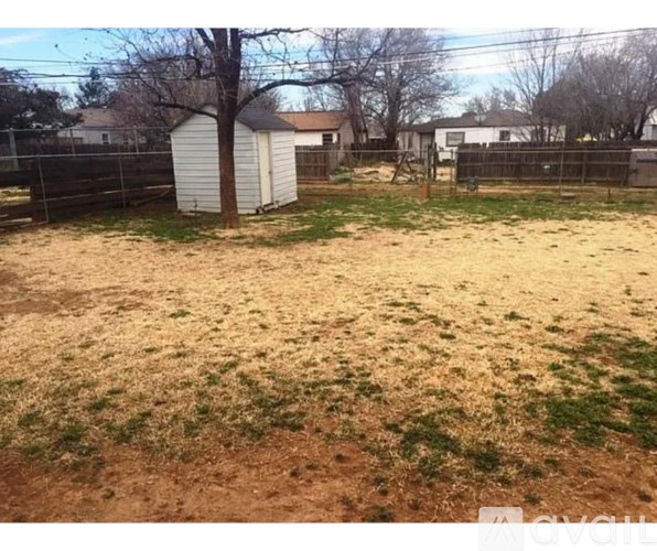 A backyard with a shed and a fence.
