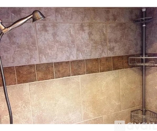 A shower head is mounted on a wall with a tiled background.