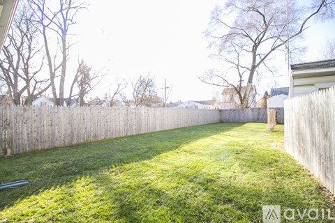 A backyard with a wooden fence and green grass.