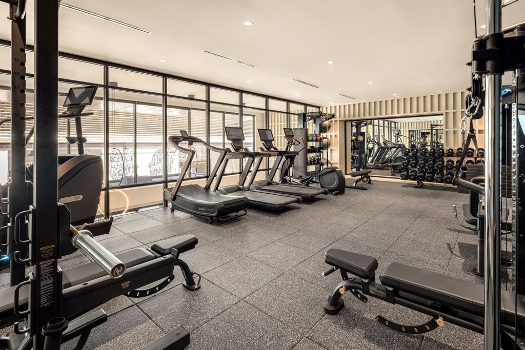 A gym with a variety of equipment including treadmills, weights, and benches.