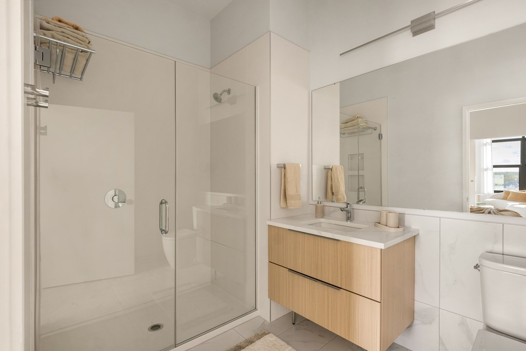 A modern bathroom with a walk-in shower, a white toilet, and a wooden vanity.