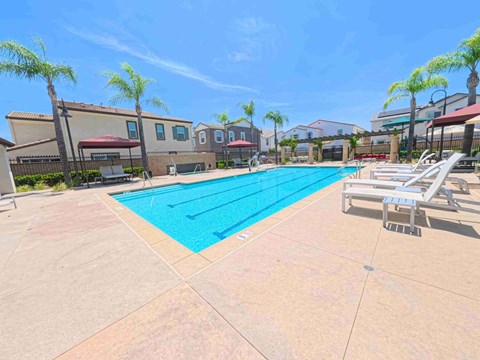 A swimming pool surrounded by palm trees and lounge chairs.