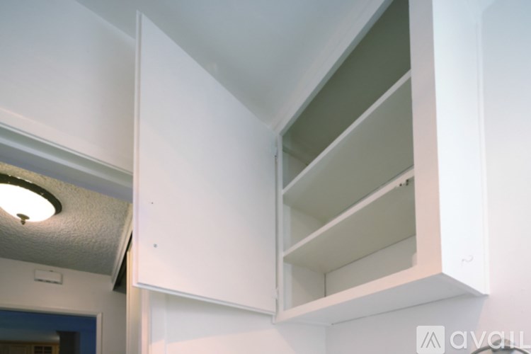 A white kitchen cabinet with a light on.