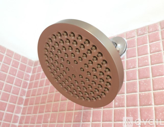 A shower head mounted on a tiled wall.