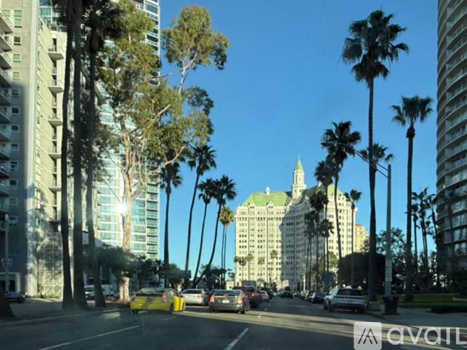 Cars are driving down a tree-lined street.