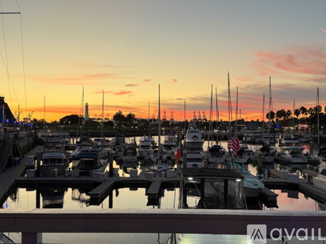 A marina filled with lots of boats at sunset.