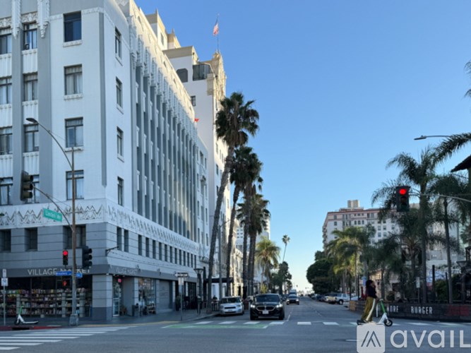A street view with a white building on the left and palm trees on the right.