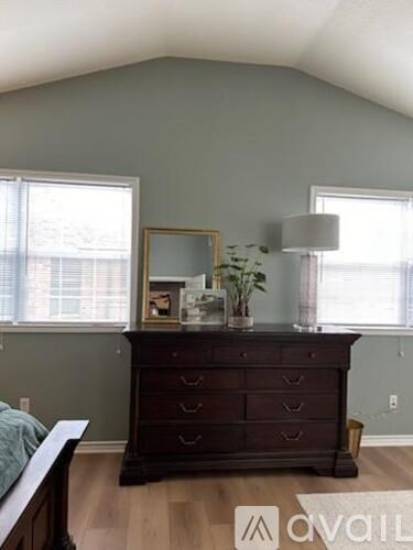 A bedroom with a dresser and a mirror.