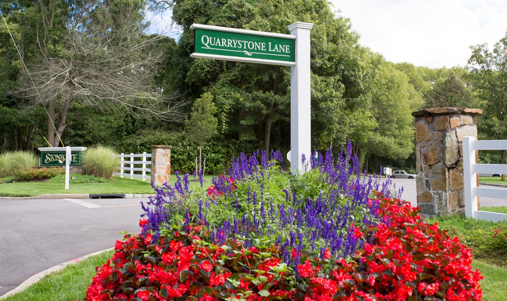 a street sign in front of a garden of flowers