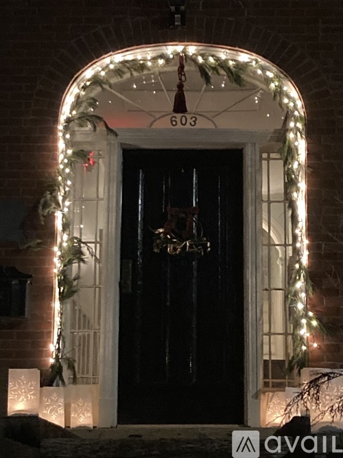A black door is decorated with Christmas lights and garlands.
