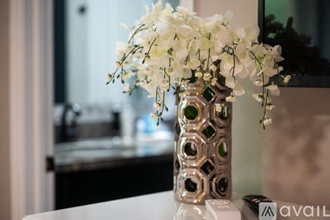 A vase with white flowers sits on a table.
