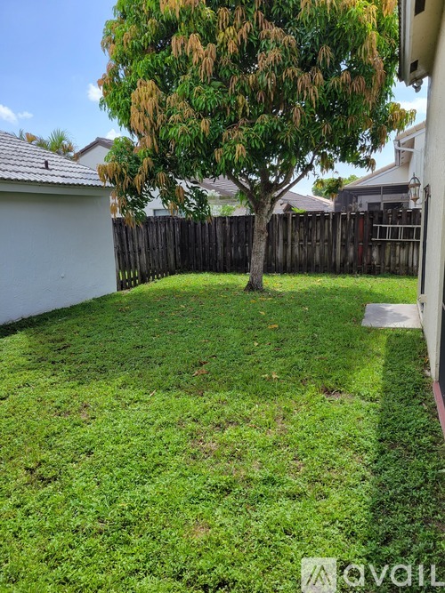 A backyard with a tree and a wooden fence.