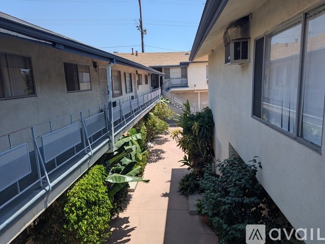 A row of houses with balconies and green plants in front.