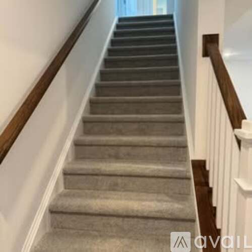 A staircase with a carpeted runner and wooden handrails.
