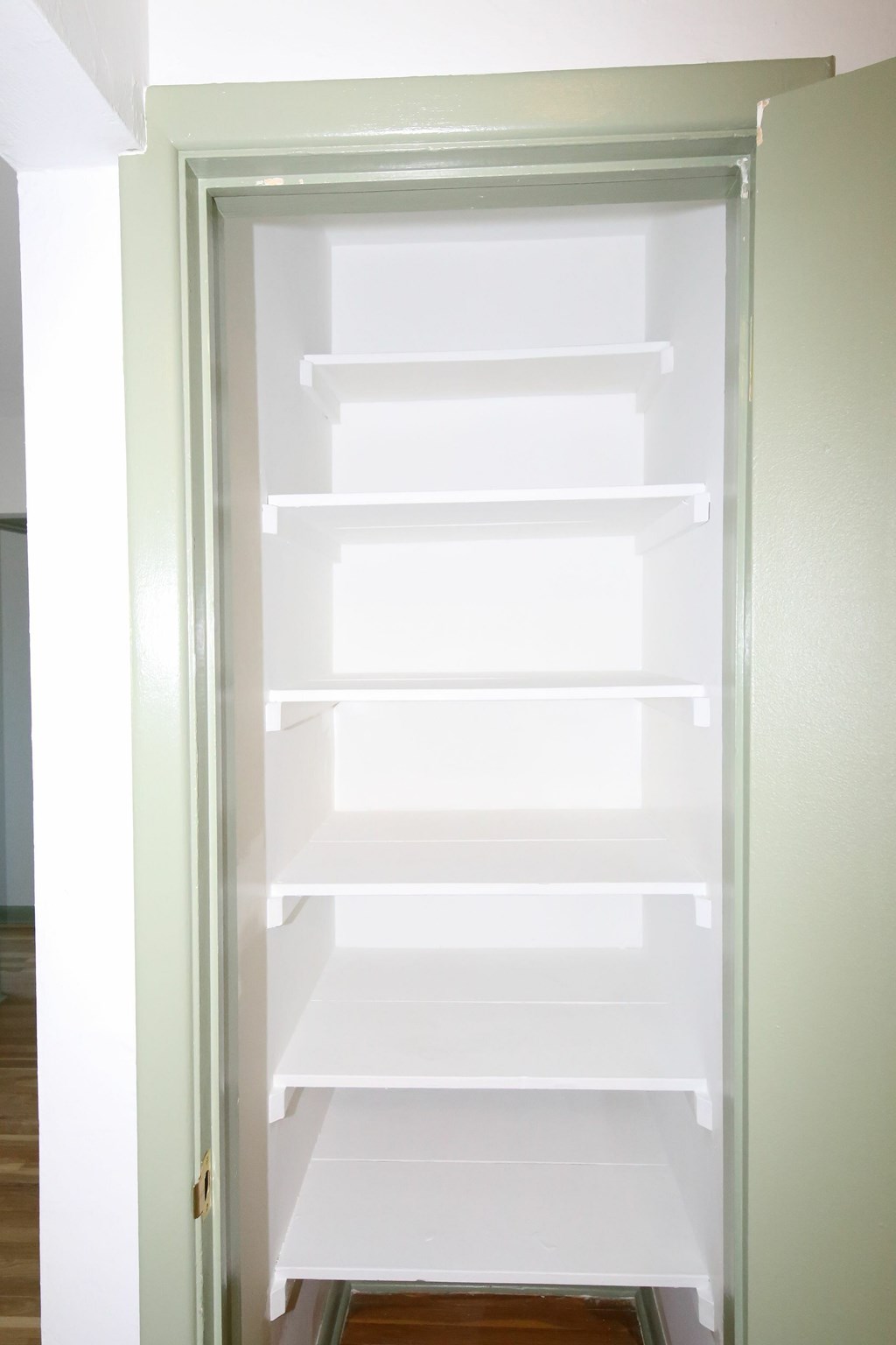Empty white shelves in a white door.