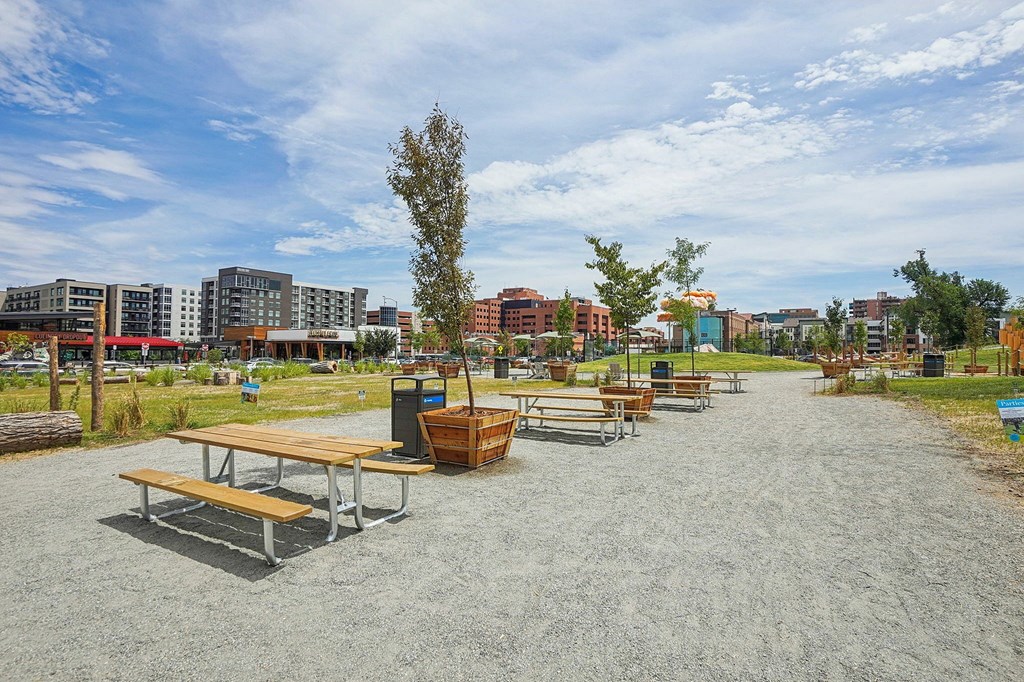 A park with picnic tables and benches in the foreground and buildings in the background.