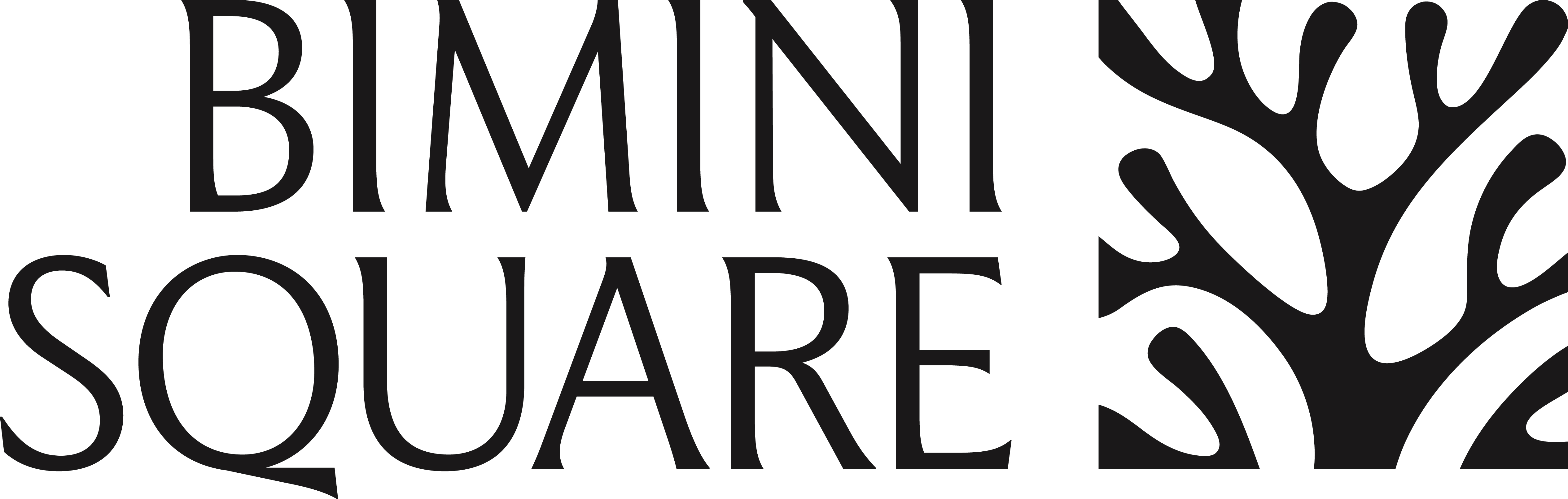 Bimini Square Apartments logo