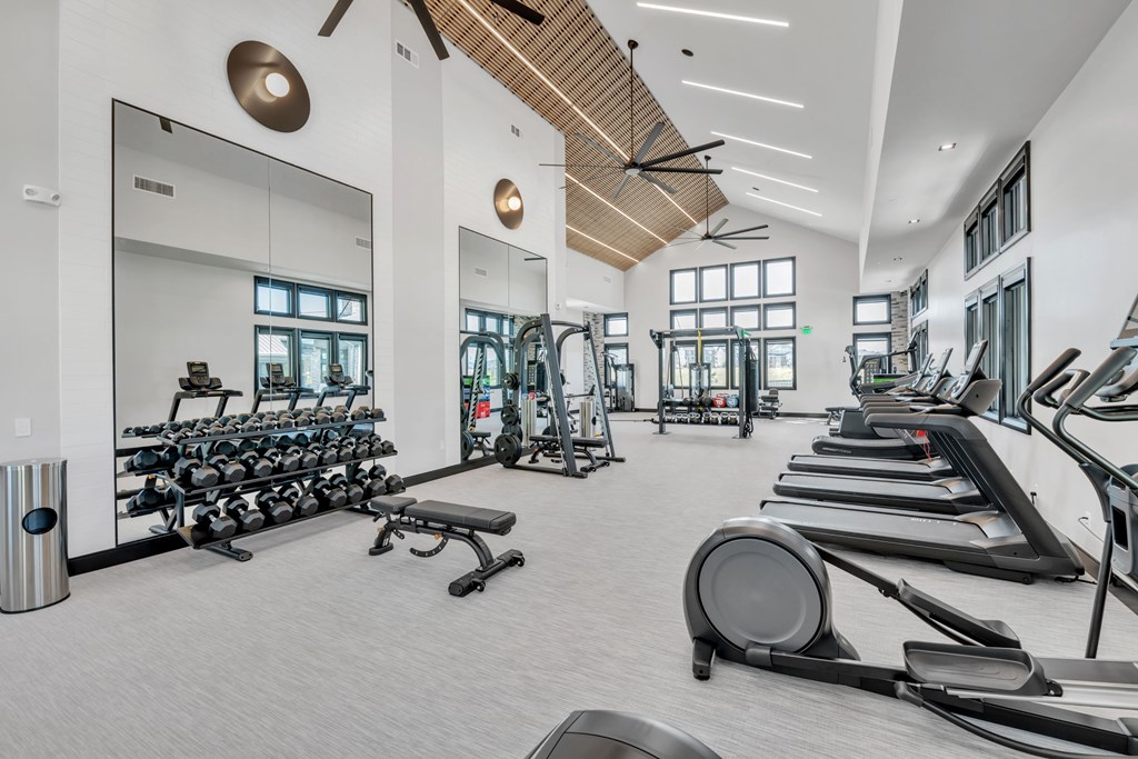 A gym with treadmills, weights, and exercise equipment.
