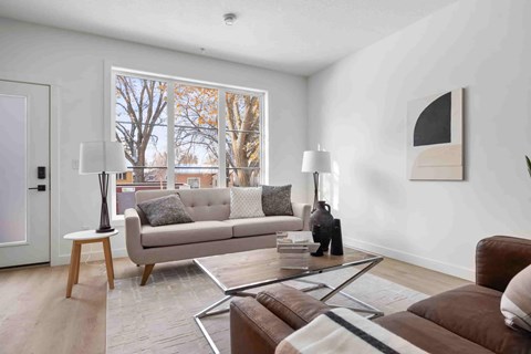 A living room with a grey couch and a brown sofa.