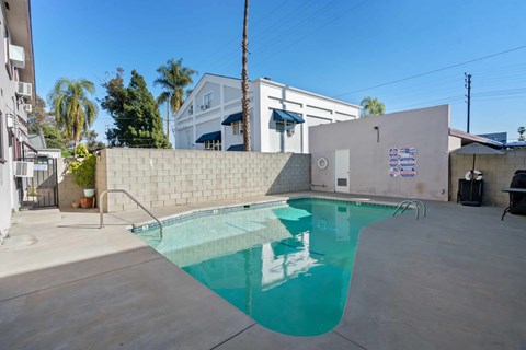 A small pool in a backyard with a wall and a tree behind it.