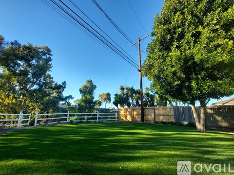 A backyard with a fence, green grass, and trees.