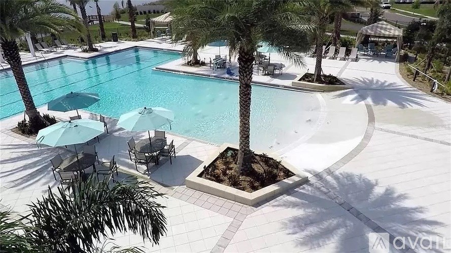 A pool surrounded by palm trees and umbrellas.