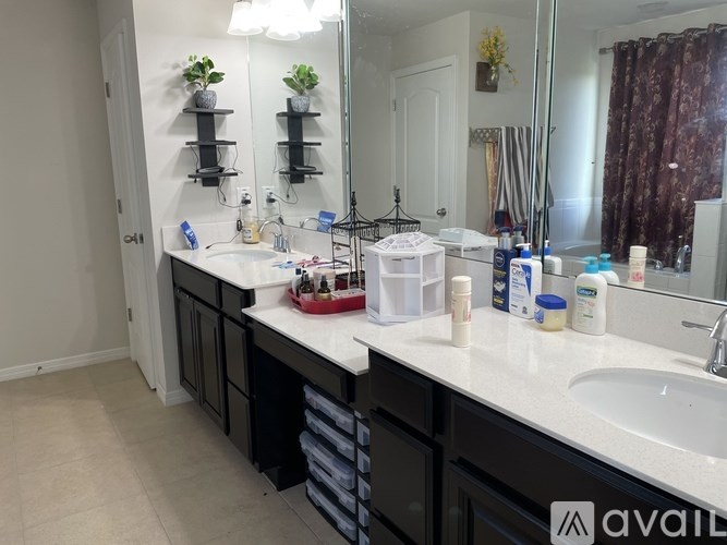 A bathroom with a sink, mirror, and shelves with plants.