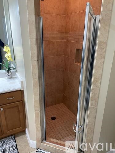 A bathroom with a walk-in shower and a sink.