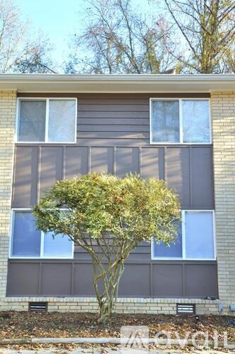 A tree in front of a grey building with white windows.