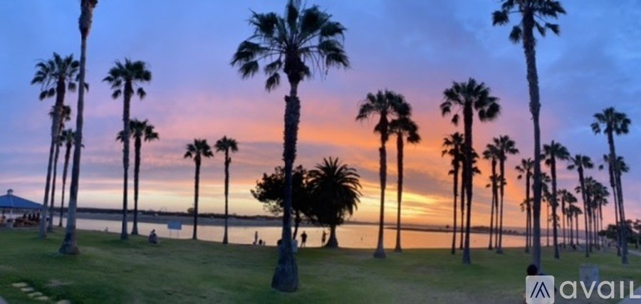 A beautiful sunset view with palm trees in the foreground.
