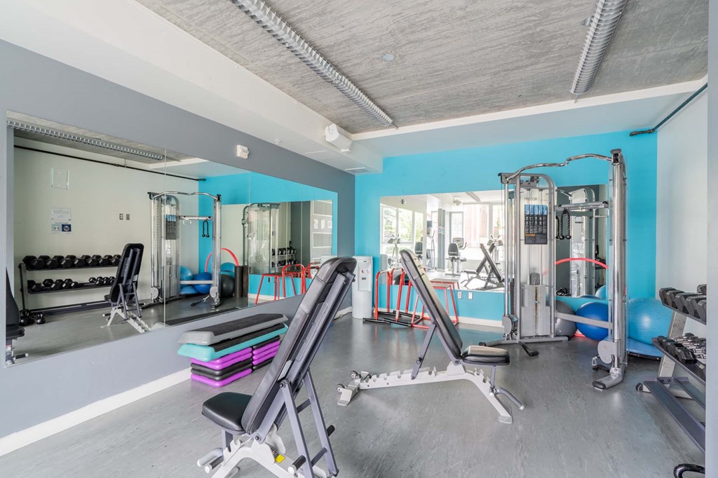 a gym with weights and gym equipment and a blue wall