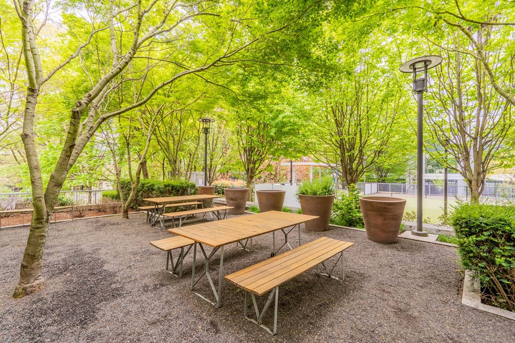 a picnic area with benches and trees in a park