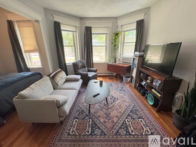 A living room with a rug, a couch, a chair, a television, and a plant.