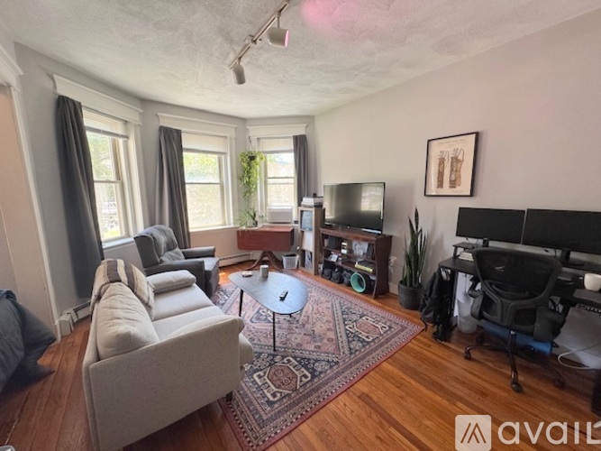 A living room with a grey couch, a rug, and a television.