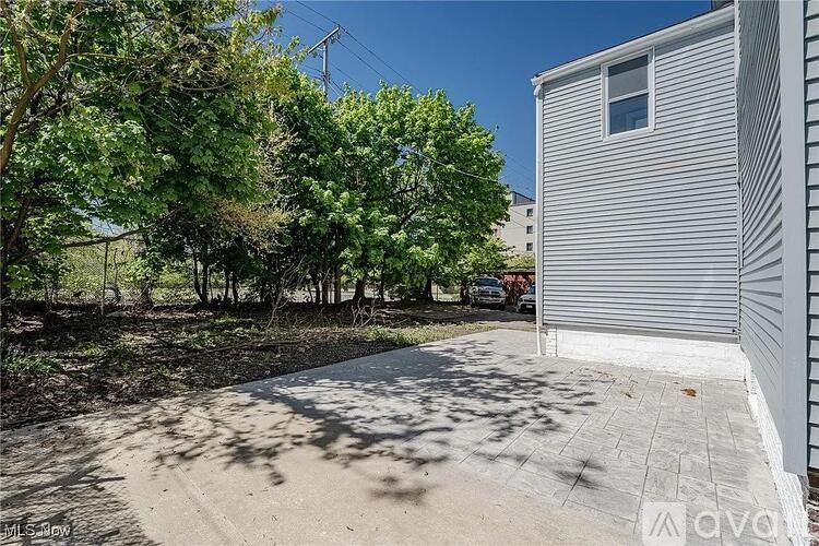 A backyard with a shed and trees.