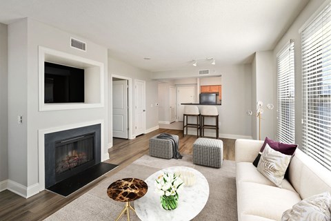 A living room with a fireplace and a television.