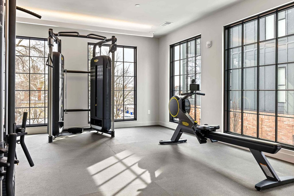 A spacious home gym with a variety of equipment including a treadmill, a stationary bike, a rowing machine, and a bench press.
