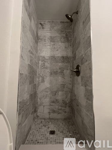 A bathroom with a tiled shower and a toilet.