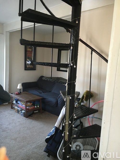 A living room with a black couch and a black shelf.