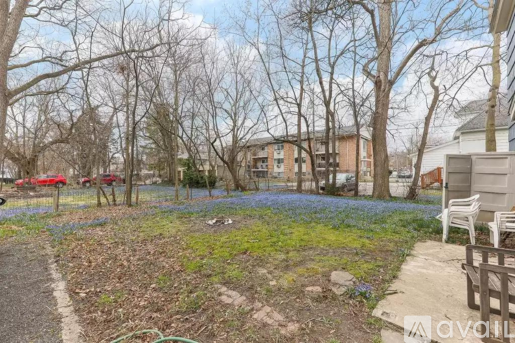 A garden with blue flowers and bare trees.