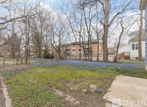 A garden with blue flowers and bare trees.